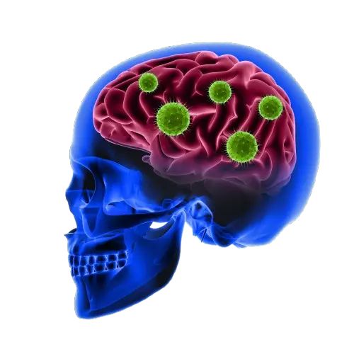 Brain tumor care